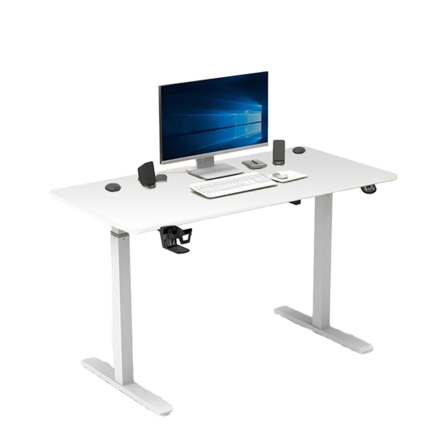 Height Adjustable Electric Office Desk